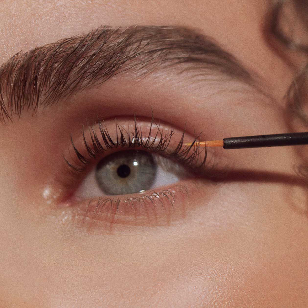 Close-up of an eye with an eyelash serum being applied