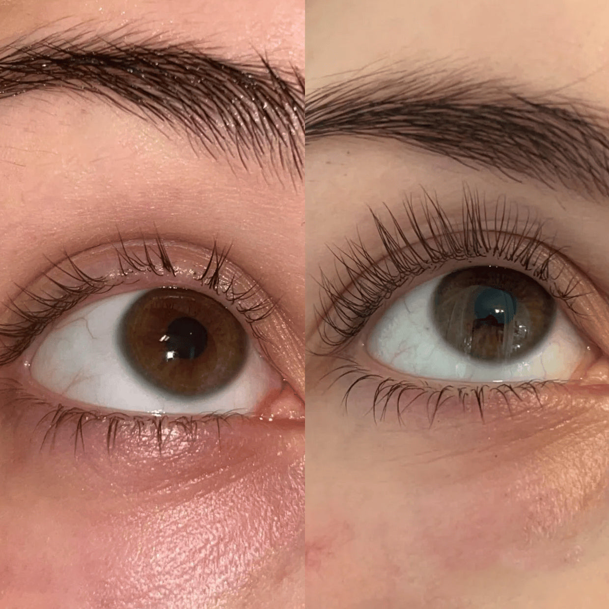 Before and after using Lashé Serum