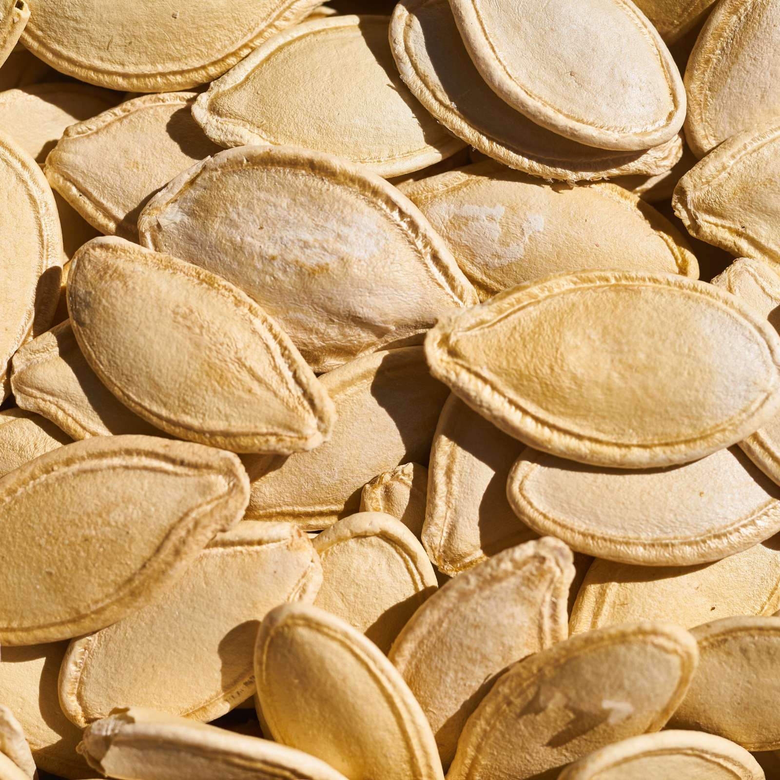 Pumpkin seed
